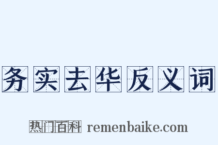 务实去华反义词是什么意思的图片